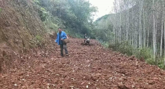 两当县金秋种奋进合理时丰收但愿满郊野