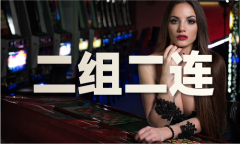 大全材料大全正版
