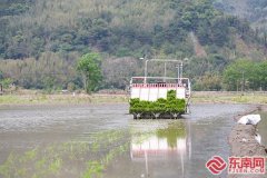 科技赋能坐享丰收！双院士团队帮力龙岩再生稻
