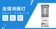 农林虫情测报系统：科技守护绿色生态金叶智能