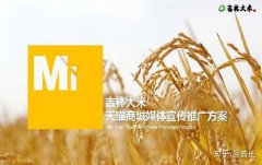 大米星球什么项目最赔本的