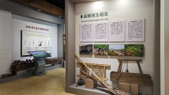 <b>自贡富顺：橘创空间取再生稻博物馆“小做物、</b>