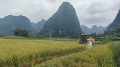 <strong>永福县建牢农业防汛平安</strong>